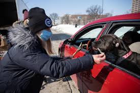Low income pet food pantries: Dog Pictures Chicago Pups Line Up For Drive Thru Pet Food Pantry Near Cook County Jail Chicago Sun Times