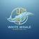 White Whale Marketing Inc. logo