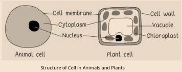 We did not find results for: Ncert Class 7 Science Chapter 1 Nutrition In Plants Kitabcd Academy