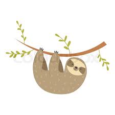 We did not find results for: Sloth Hanging On The Tree Vector Stock Vector Colourbox