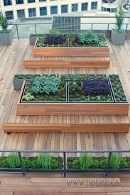 Pot Inc Installs The Vancouver Clubs Rooftop Garden Rooftop Garden Urban Garden Roof Garden