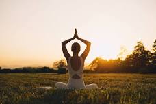 Aligning your Diet and Movement with Natures...