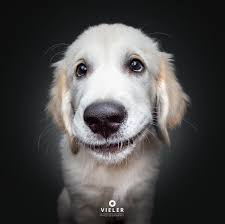 Vieler Photography added a new photo.