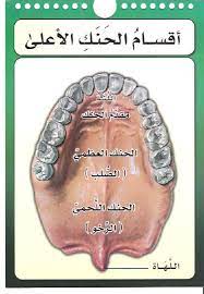 صور مخارج الحروف العربية للدكتور أيمن سويد حفظه الله الإسلام اليوم egitim