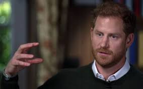 Prince Harry exclusive interview: 'This is not about trying to collapse the  monarchy, this is about trying to save them from themselves'