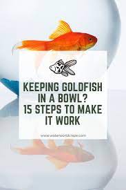 Keeping A Goldfish In A Bowl 15 Steps To Make It Work Waterworld Craze Goldfish Bowl Goldfish Goldfish Care
