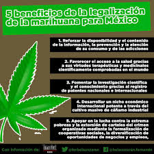 Participantes en una manifestación a favor de la legalización de la marihuana en las calles de ciudad de méxico, el 5 de mayo de. Fernando Belaunzaran Auf Twitter Cinco Beneficios De La Regulacion De La Marihuana