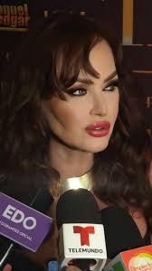 Moedor de disco rígido con ajuste de velocidad. Essa é uma ideia  maravilhosa !! Crédito Daniele Tartaglia DIY, goo.glaMa53W