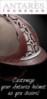 Custom Antares Helmet Drools Could You Imagine That I Would Never Wear It Xd Paardrijden Paarden
