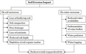 Soil formation is a global biospheric process, and as a result of its manifestation a soil Soil And Water Conservation Measures For Agricultural Sustainability Intechopen