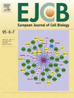 Check spelling or type a new query. European Journal Of Cell Biology Sciencedirect Com By Elsevier