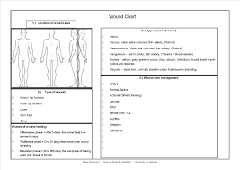 Wound Management Final Nursing Clinical Placement Petes