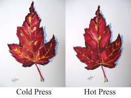 Difference Between Cold Press And Hot Press Watercolor Paper Art Basics Floral Watercolor