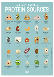 Vegan Protein Sources High Protein Vegan Foods Print Vegan Protein Chart Food Infographic Plant Based Protein Sources Vegan Protein Sources