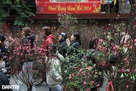 Lắng đọng những khoảnh khắc tại chợ hoa Hàng Lược ngày cuối năm