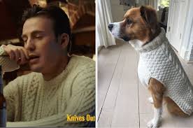 Check spelling or type a new query. Chris Evans Dressed His Dog In His Cable Knit Sweater From Knives Out