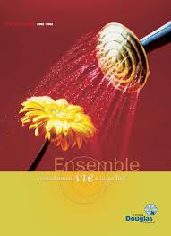 Rapport annuel_final (F)