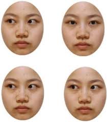 Eye configuration influences the detection advantage of direct gaze
