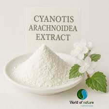 Image result for Cyanotis vaga