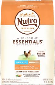 Nutro Dog Food Reviews Nutrition And More Certapet