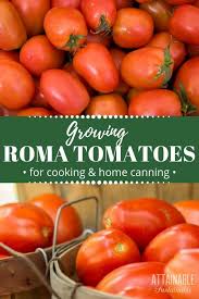 Pin On Vegetable Gardens Growing Food