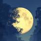 Full Moon Yoga Meditation Retreat