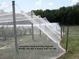 Pin By Chaille Cohen On Blueberries Gazebo Netting Bird Netting Gazebo Plans
