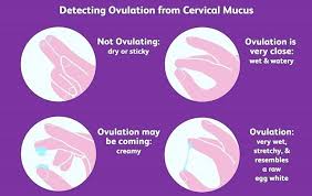 Men hvis tilstanden vedvarer over en lengre periode, det bør tas opp av barnelege. Baby Baesj Hva Forteller Den Froyaklinikken