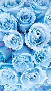 Girly Wallpapers For Iphone Xr Yet Gadgets In Rainbow Six Siege Off Cute Stitch Wallpapers For Blue Flower Wallpaper Blue Roses Wallpaper Blue Wallpaper Iphone Girls love shiny, floral and cute wallpapers backgrounds.