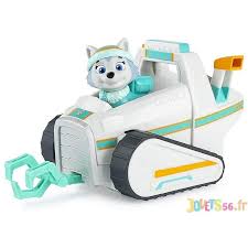 Contact everest 2021 on messenger. Figurine Everest Avec Vehicule Pat Patrouille Jouets56 Fr