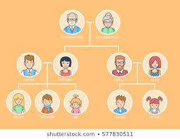 1000 Family Tree Stock Images Photos Vectors Shutterstock