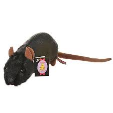 Pin On Rats