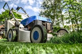 Taking the appropriate steps early in the season can help ensure a lush, green lawn throughout the rest of the year. 6 Spring Lawn Care Steps For Chicago Il Homeowners Lawnstarter