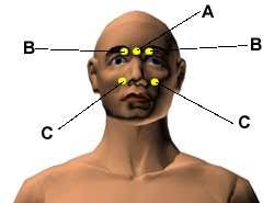 most important acupressure points for headache and migraine