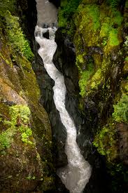 Journey on the Cowlitz — Pete Caster