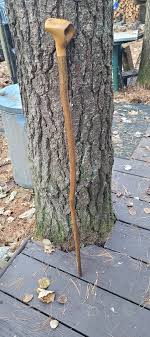 A Canadian Maple 🍁 root ball. Maybe a Peace Pipe one day