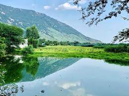 Approximately 3 hours 40 minutes places to visit in yelagiri hills: Road Trip To Yelagiri Hills Tripoto