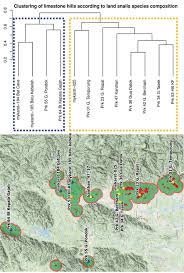 Posts about jps fashions (malaysia) sdn bhd. Diversity And Biogeography Of Land Snails Mollusca Gastropoda In The Limestone Hills Of Perak Peninsular Malaysia