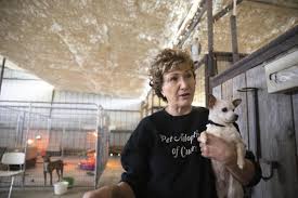 Roberts pet adoption center is excited to launch our first annual calendar contest! After Rescuing 18 Dogs Cuero Adoption Center Needs To Find Homes W Video Dewitt Victoriaadvocate Com