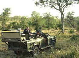 We did not find results for: Safari Wikipedia