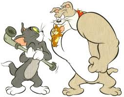 Tom And Jerry Tom Picture Tom And Jerry Tom Wallpaper