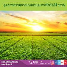 เพราะ beb เป็นหลักสูตรพันธุ์ใหม่ที่ผสมผสานศาสตร์ทั้ง 3 ของ pure science และ applied science เข้าด้วยกันอย่างลงตัว อย่าง เทคโนโลยีชีวภาพ เคมี. à¸­ à¸•à¸ªà¸²à¸«à¸à¸£à¸£à¸¡à¸à¸²à¸£à¹€à¸à¸©à¸•à¸£à¹à¸¥à¸°à¹€à¸—à¸„à¹‚à¸™à¹‚à¸¥à¸¢ à¸Š à¸§à¸ à¸²à¸ž
