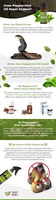 It can be used aromatically, topically and internally to address a number of health concerns. Does Peppermint Oil Repel Snakes