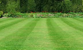 How much does a pest control technician make in aurora, il? Chem Wise Ecological Pest Management Reviews Aurora Il Angi