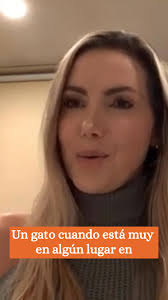 Sanandocon animales160525.mp4