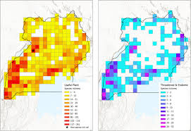Image result for Dasylepis eggelingii