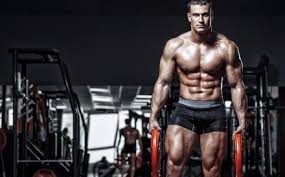 Deer Antler Velvet For Bodybuilding And Athletic Performance