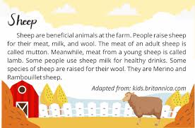 Sobat juga bisa mengetahui tentang contoh soal present. Contoh Soal Farm Animals Bahasa Inggris Sd