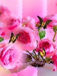rosas GIF - Descargar & Compartir en PHONEKY