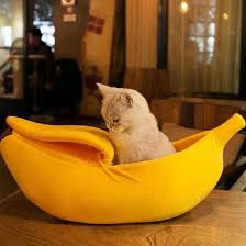Bananapet Bed Cats Dogs From 19 90 Ships Worldwide Catsandkittens Kedi Kopek Cok Sirin Hayvanlar Kedi